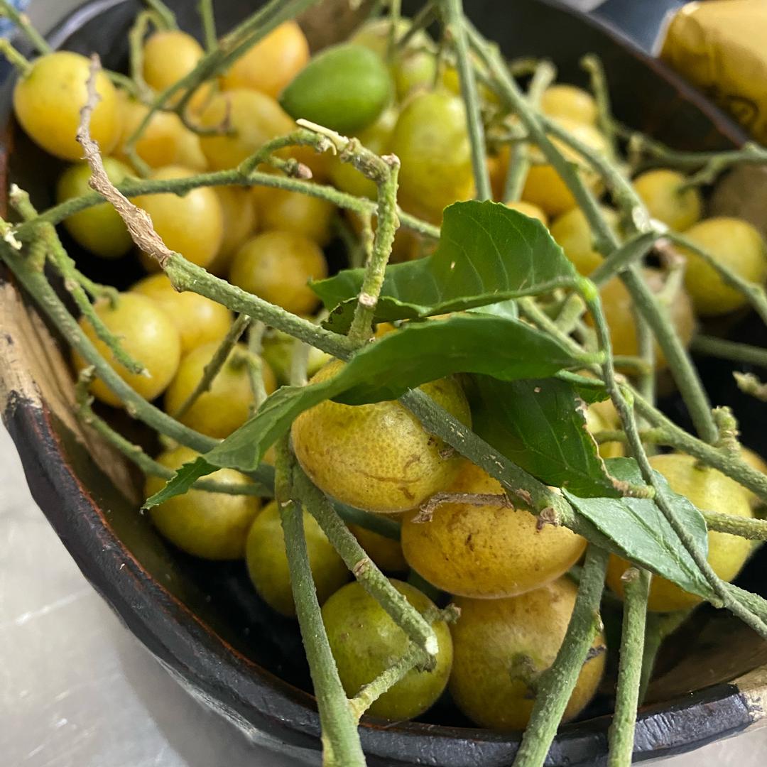 湖南湘江新区挽钞松百货商行（个体工商户）