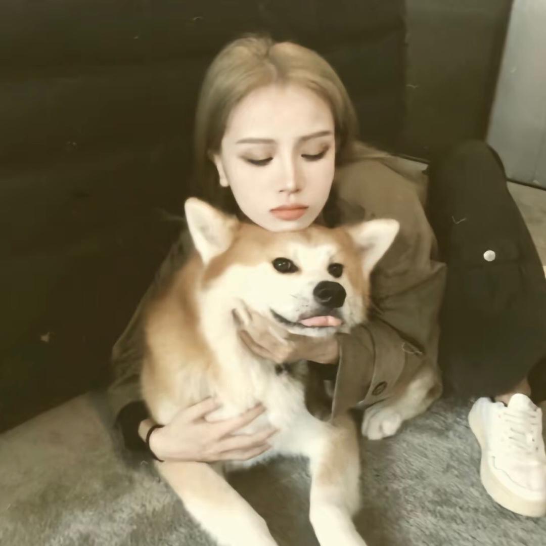 我都是说我是飒比