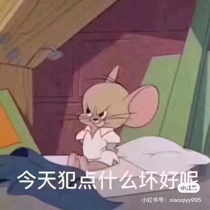 耿zzj