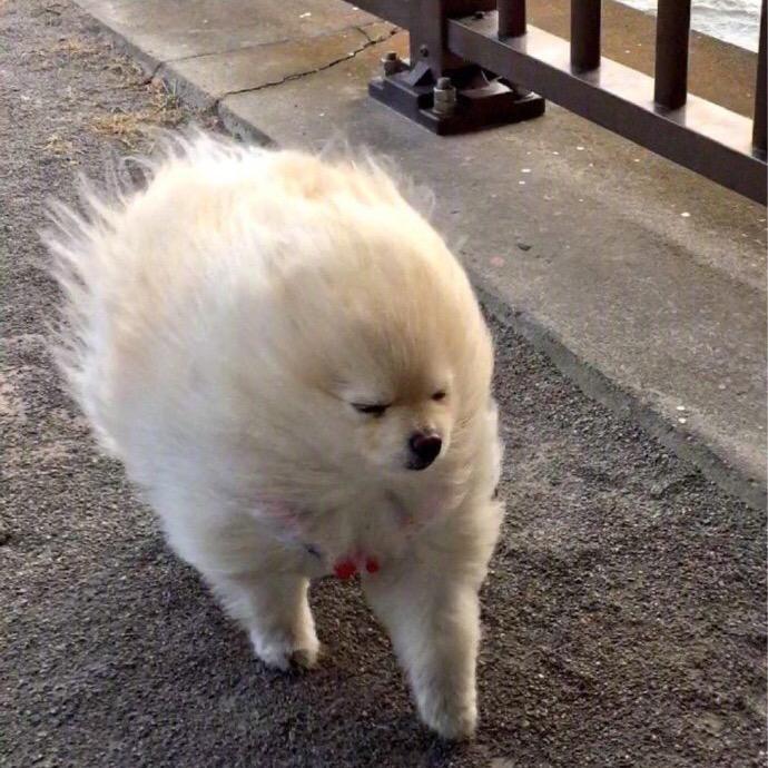 每天都是幸运儿🧧