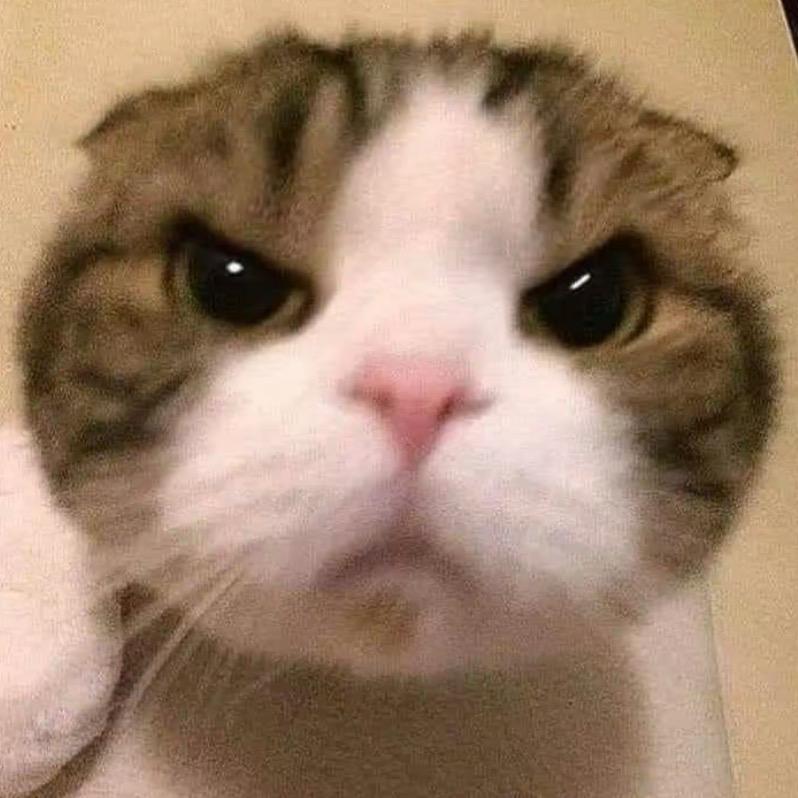 鱼香肉丝（减肥版）