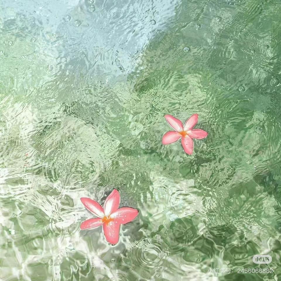 桑稚～