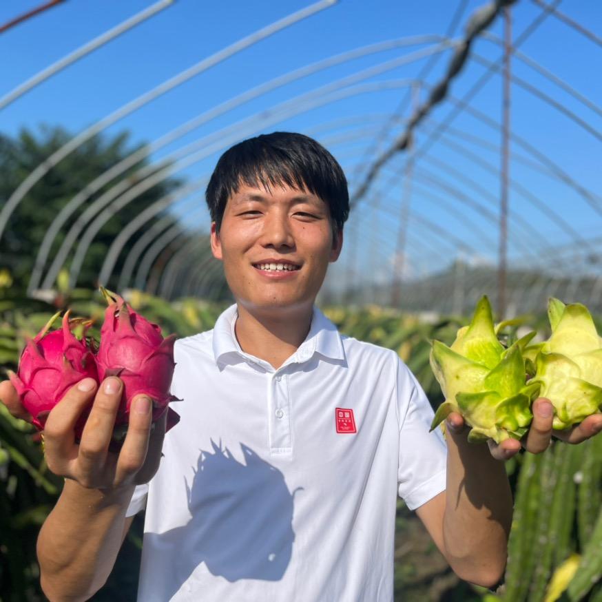 槐林火龙果采摘园