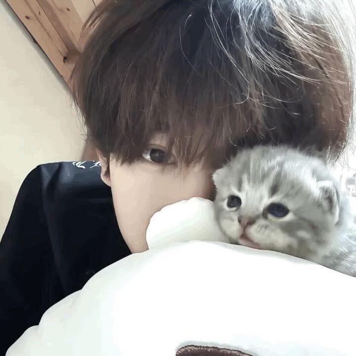 没烦恼
