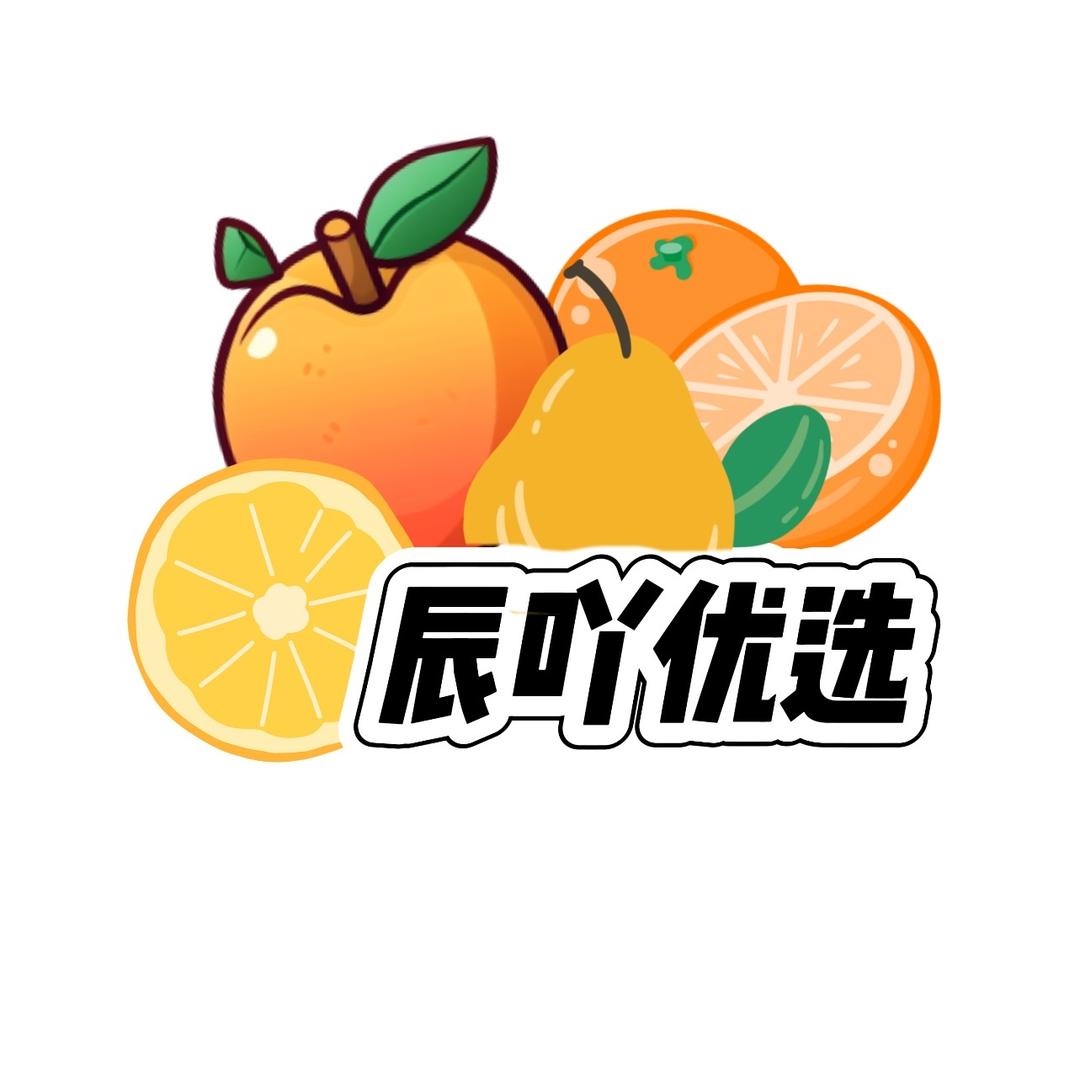 辰吖优选小时达