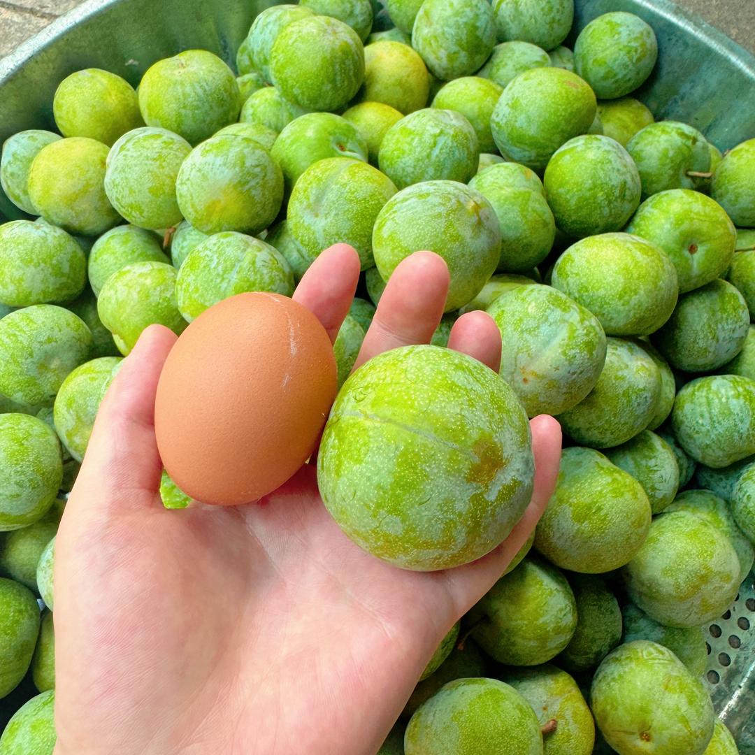 “李”边请