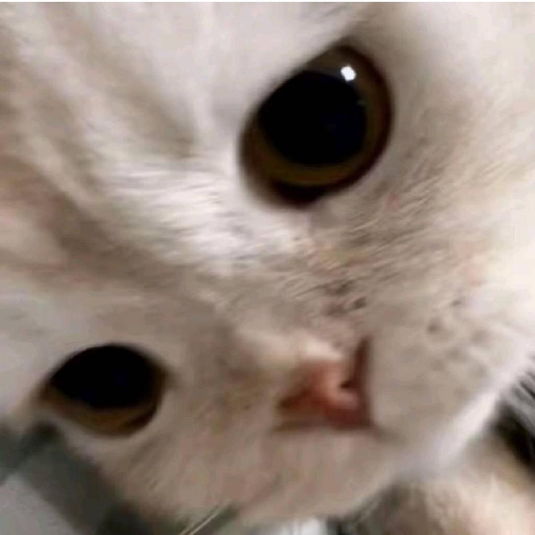 7￴ㅤ￴￴ ￴￴