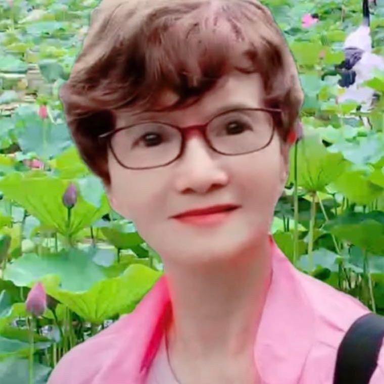 精彩纷呈