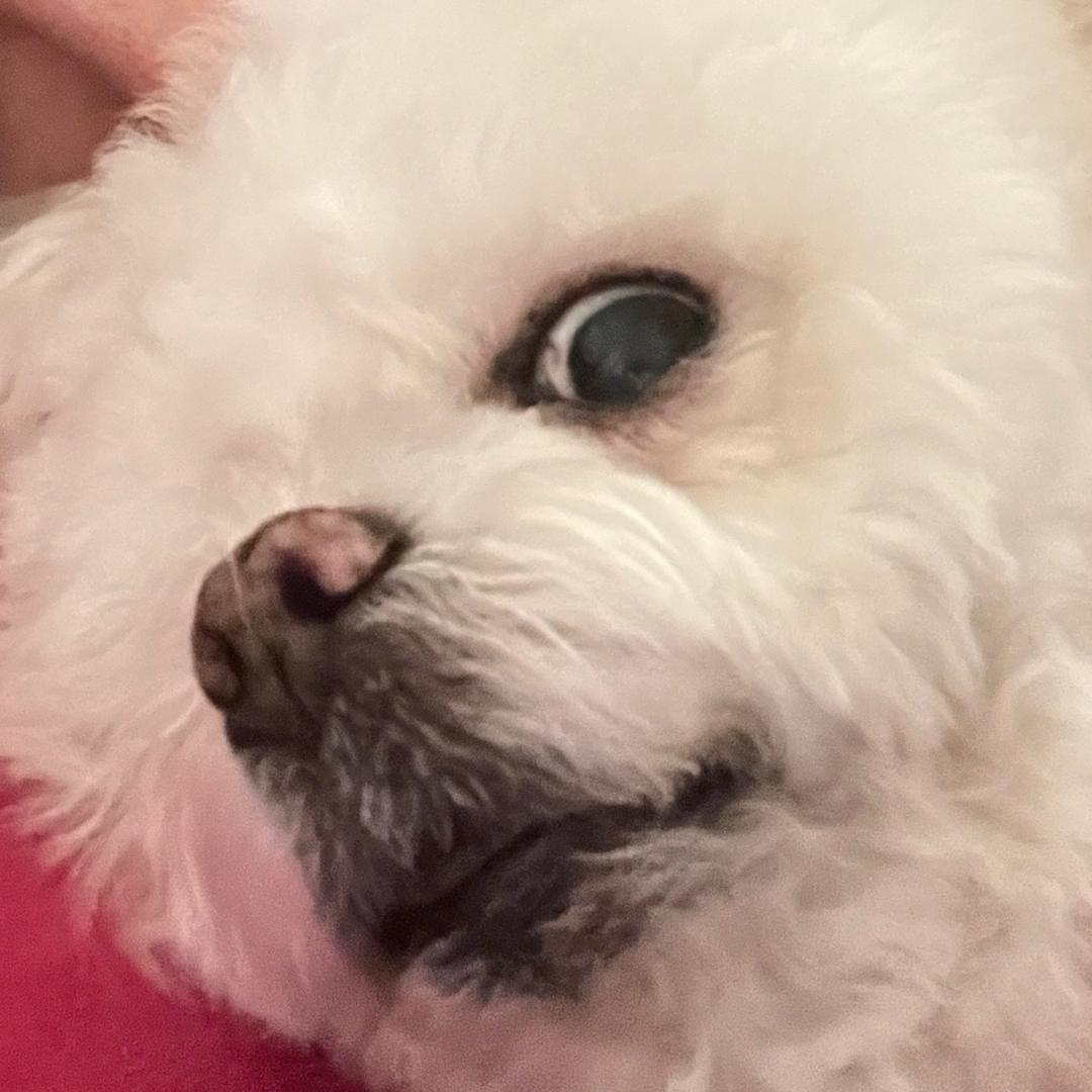 某小旭💓
