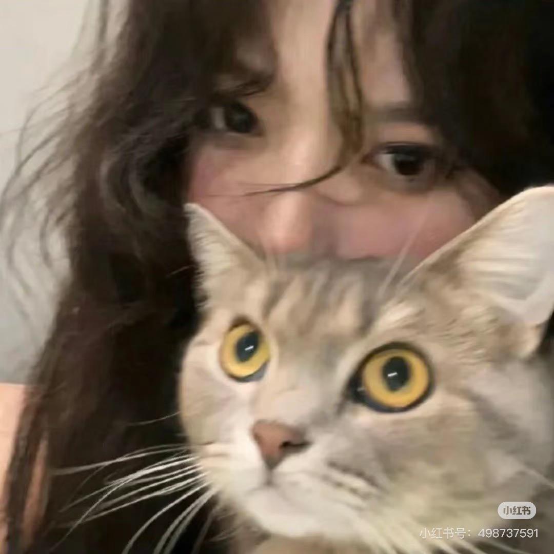 菲菲猫🐈