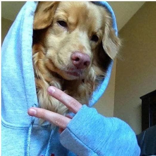 我是嗨皮蹦擦擦