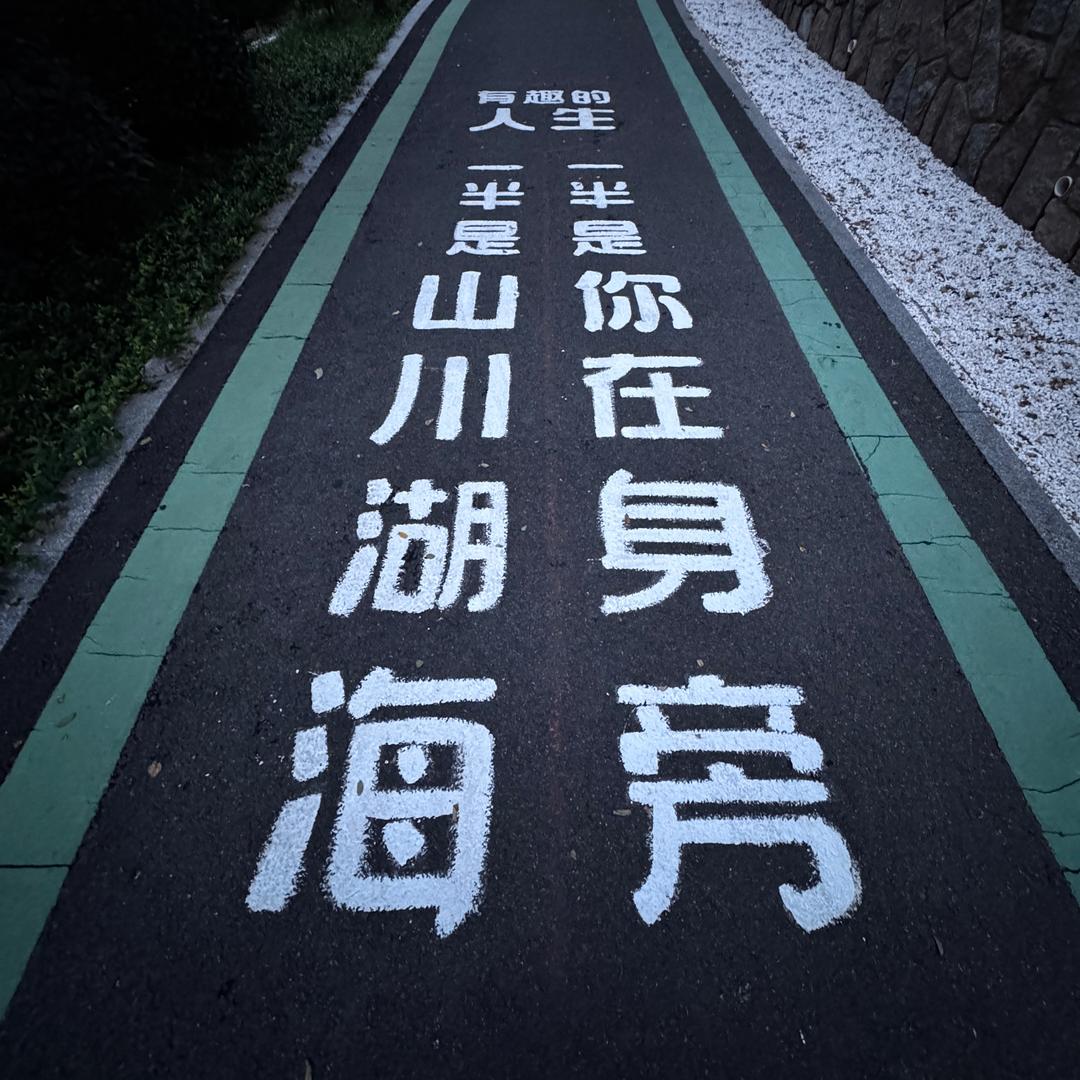 莫尼卡