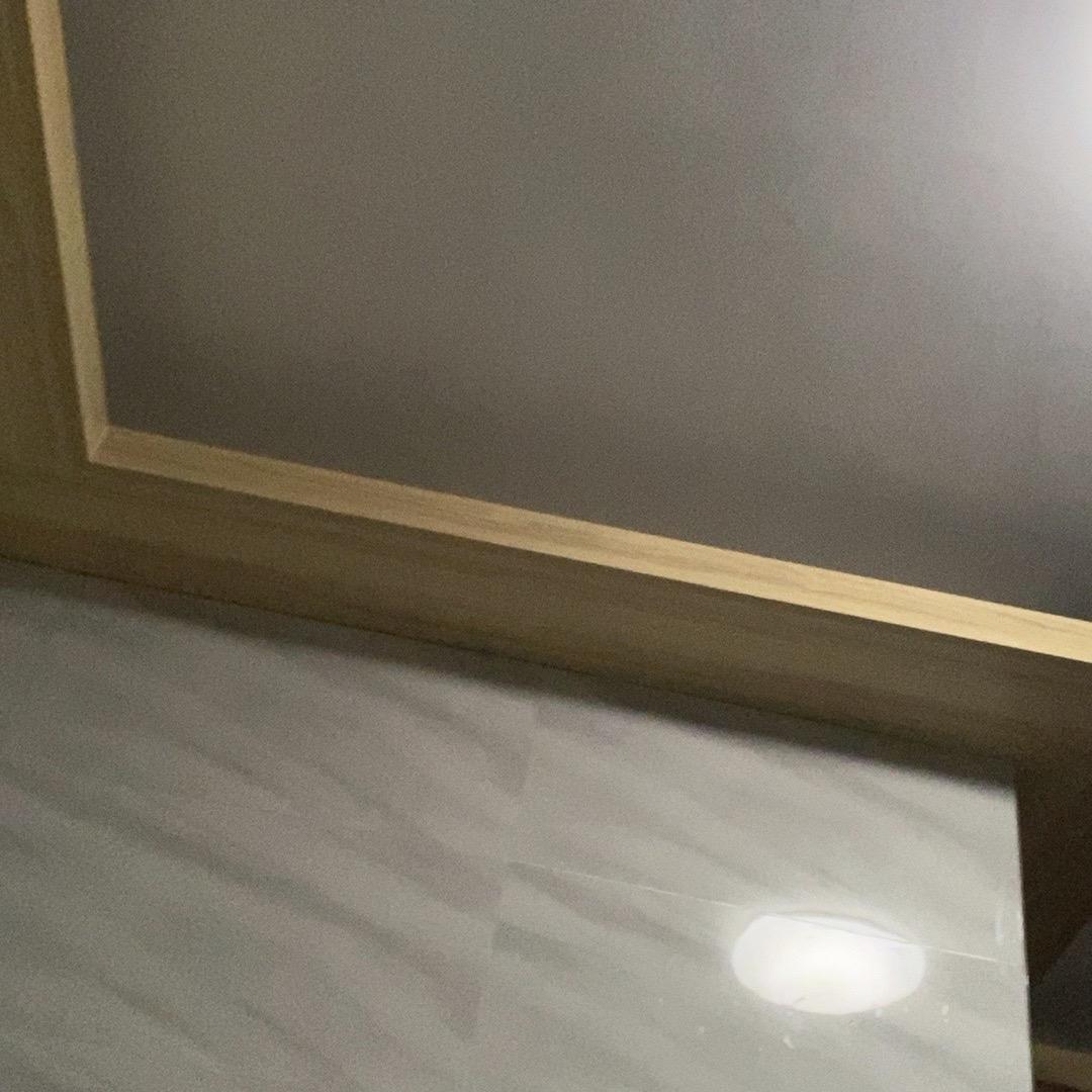 巴黎圣母院