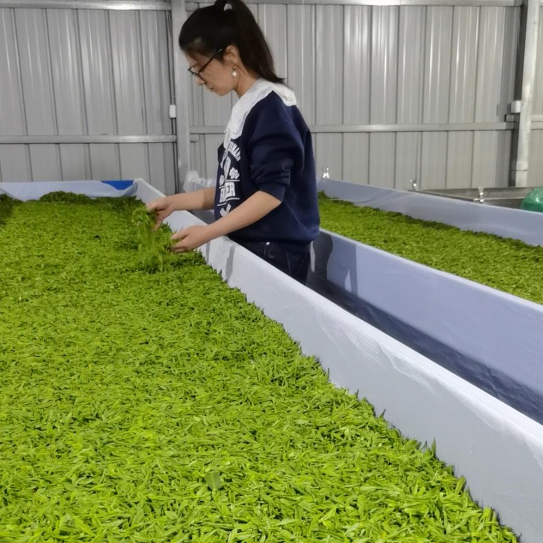 富平王理茶行小陈