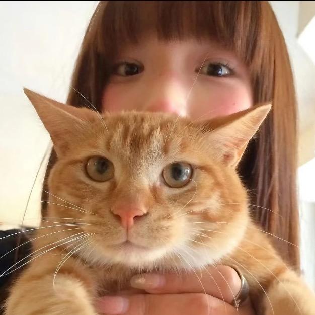 lay死我了