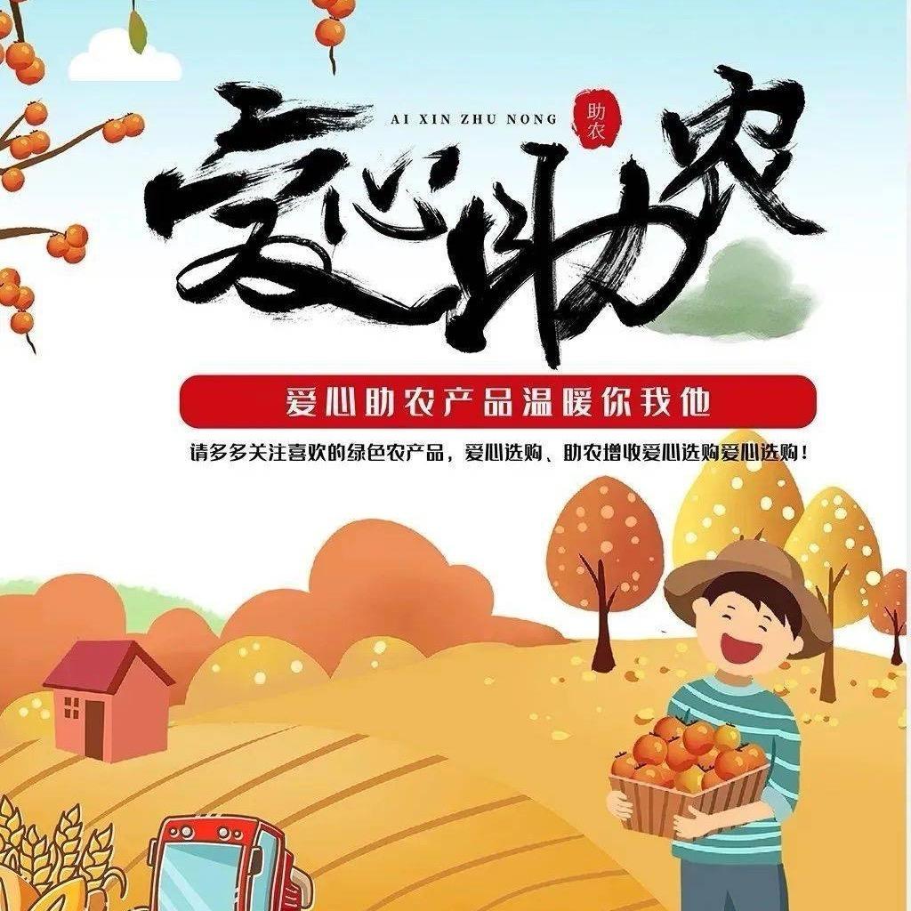 广西优品三农
