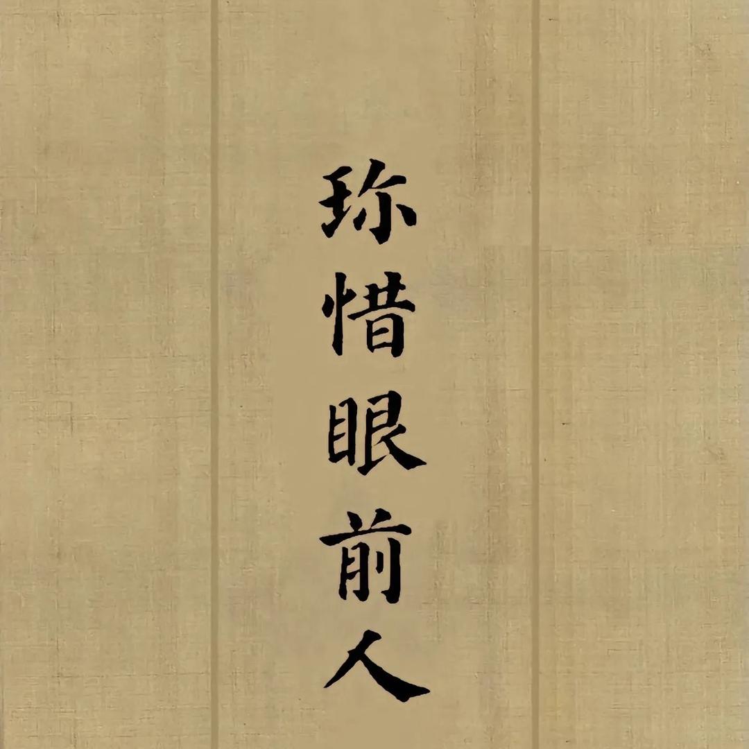 情缘紫弧
