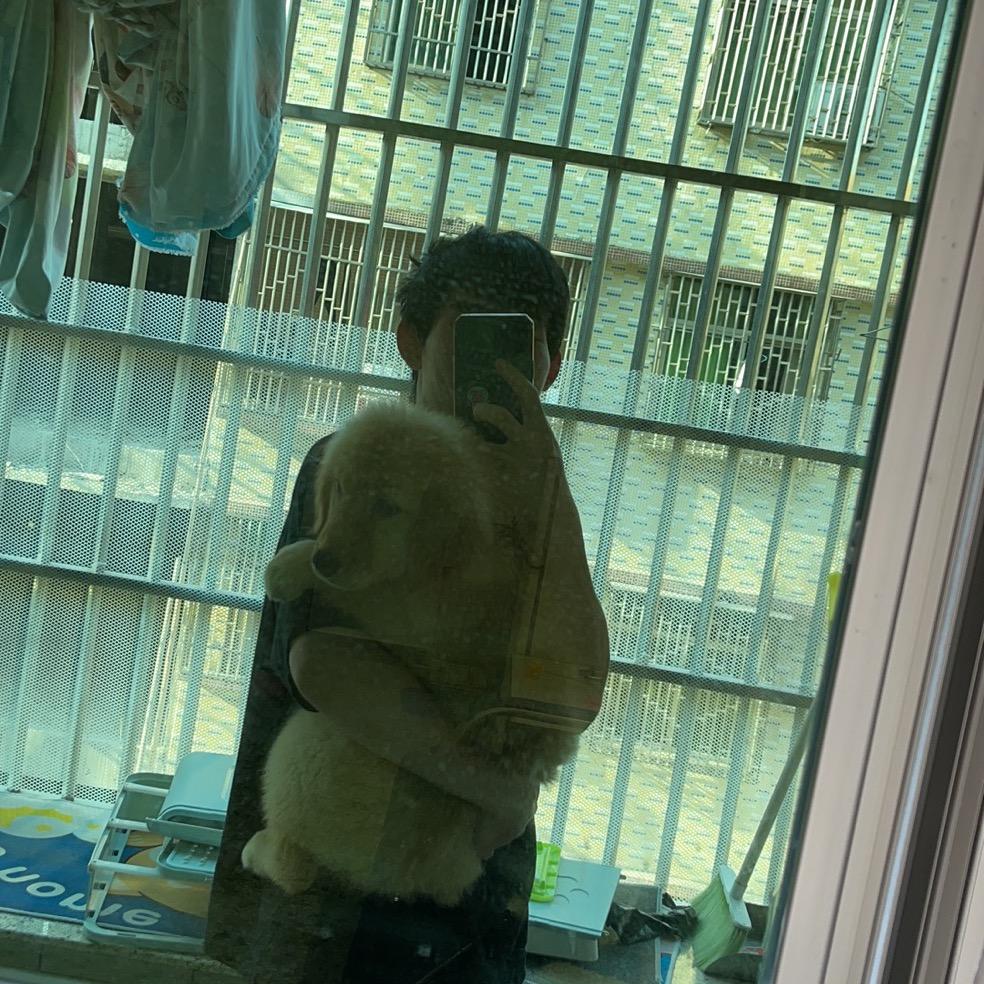 🌈家里有24只猫