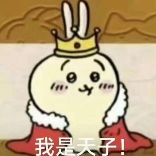 谁不喜欢小狗哇