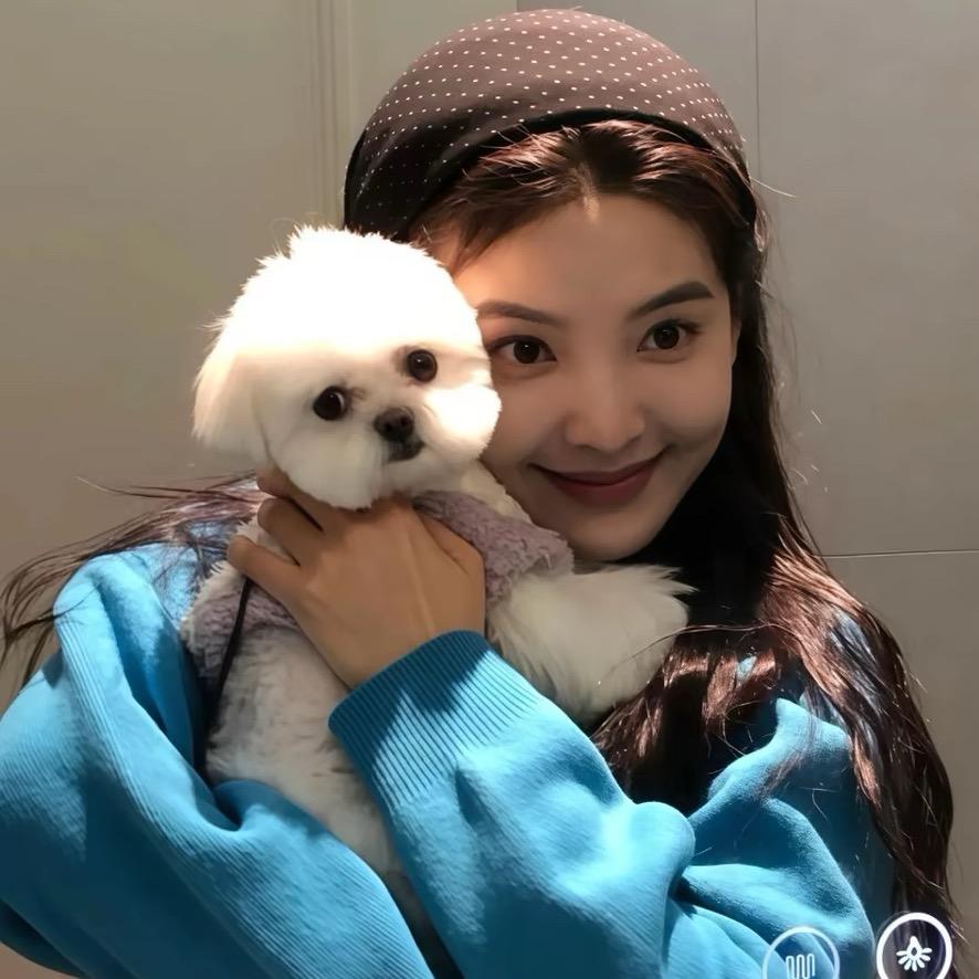 暴躁小羊