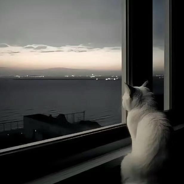 又困了.💤