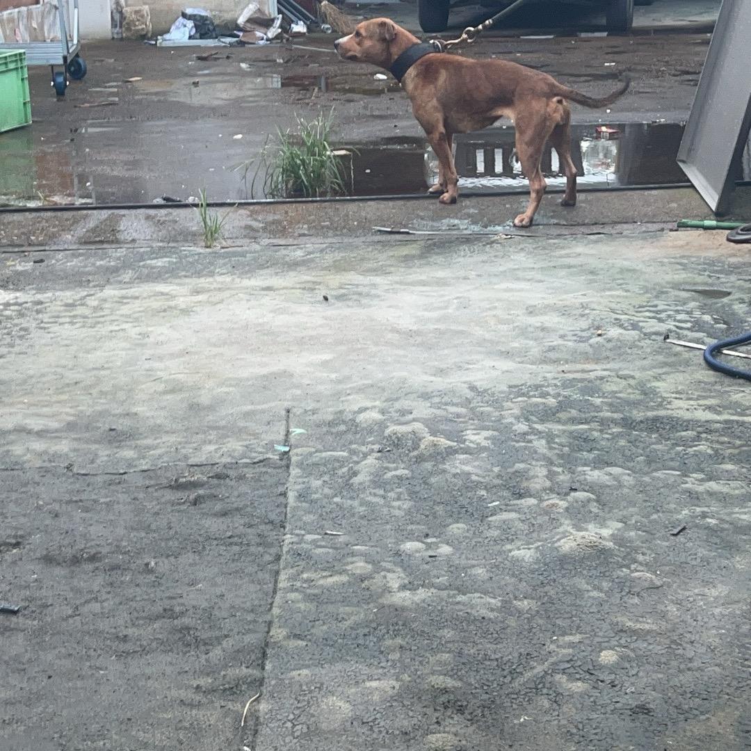 天台县不锈钢批发