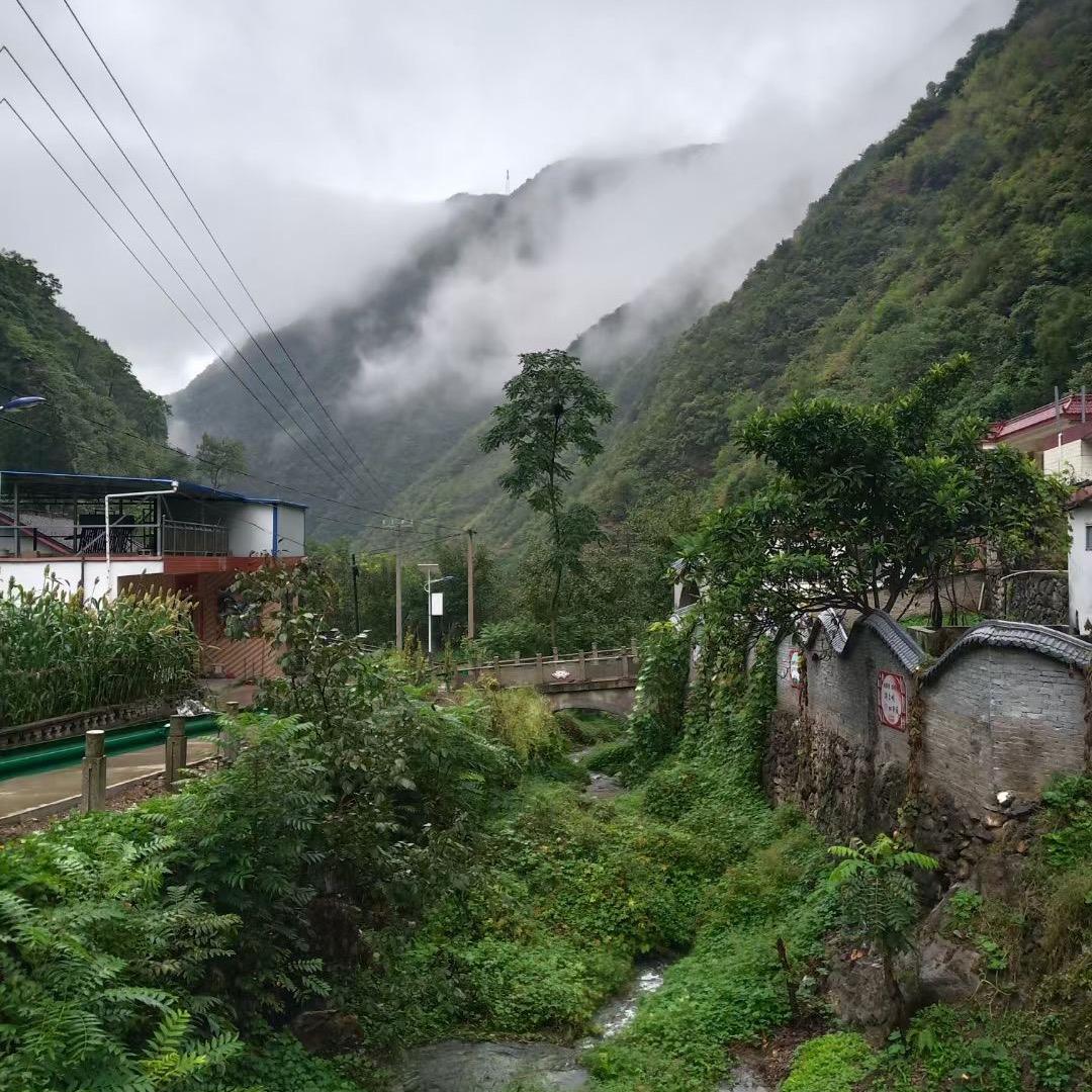 三哥（花开团）终南山寨