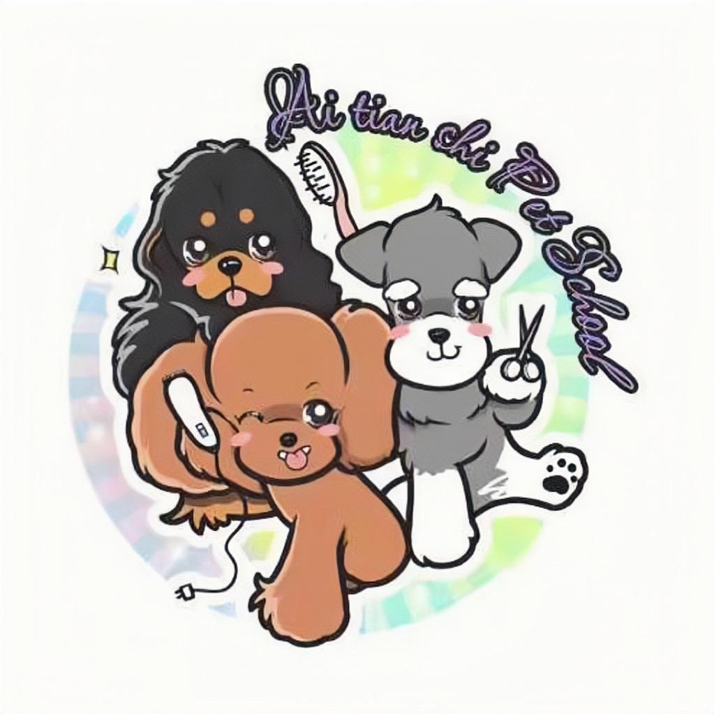 CKU金域爱天使宠美培训学校