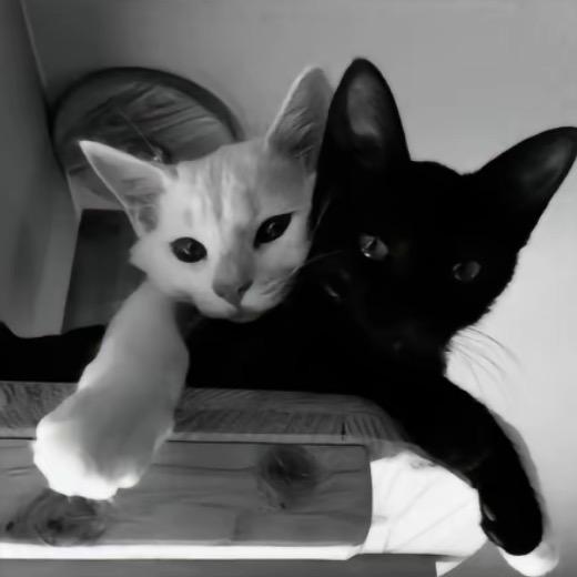 黑苦（玩游戏版）