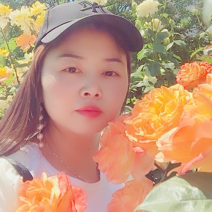 小燕子