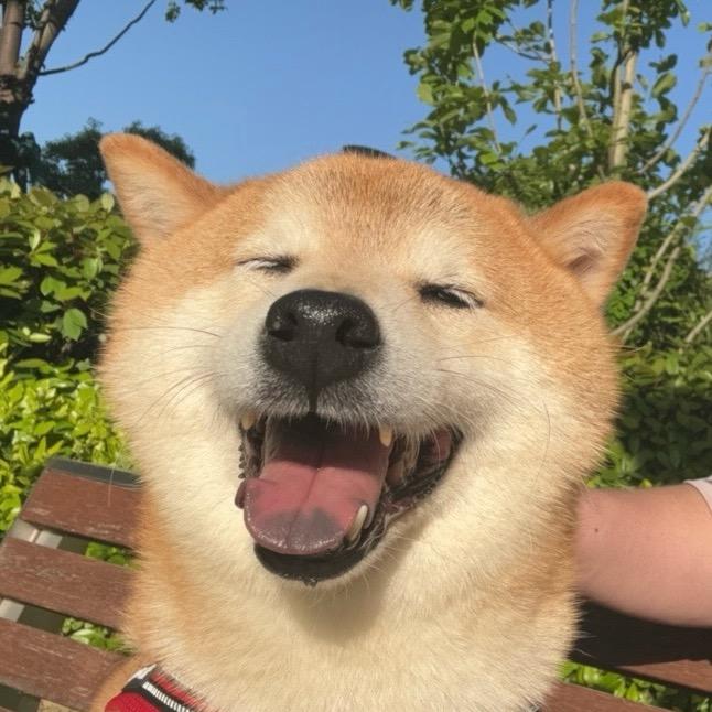 欢乐豆