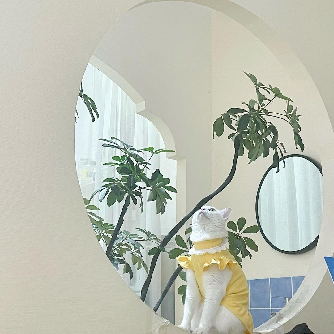 重生之我在装修指甲盖