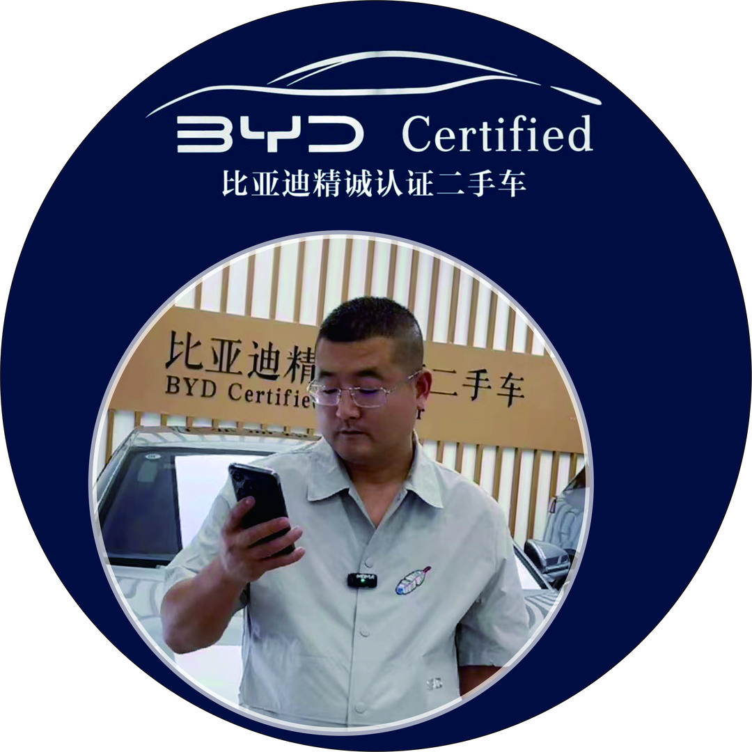 比亚迪二手车（专收新能源二手车）