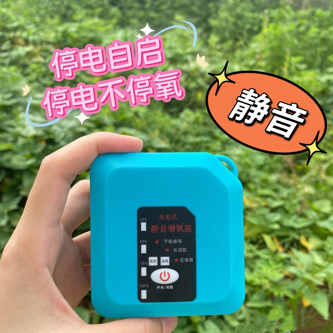 啊紫。