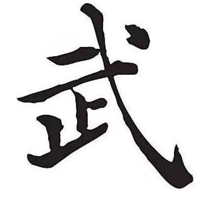 五系八哥 创始人