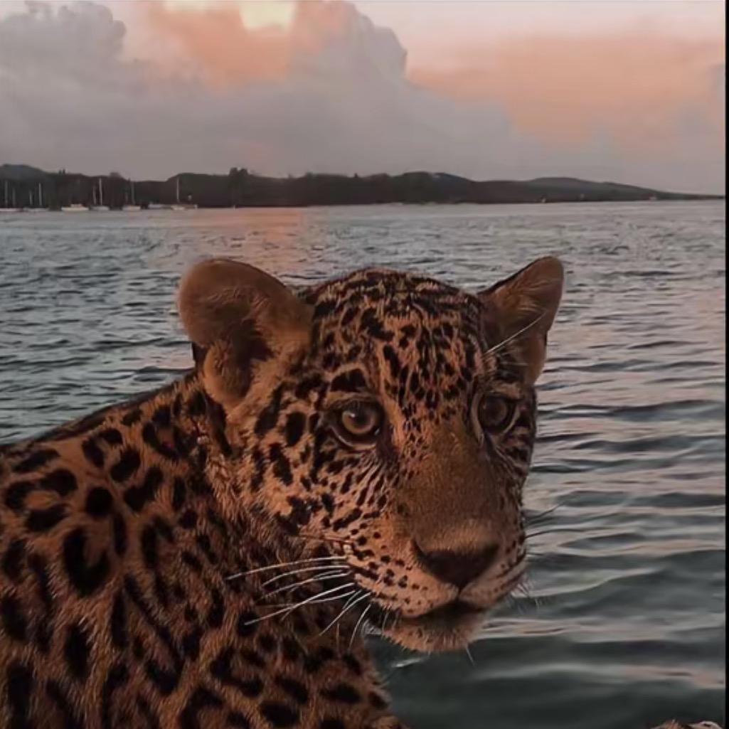 ⚜️尽人事⚜️