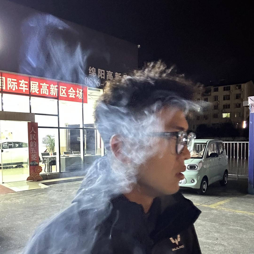 小宋 新能源汽车