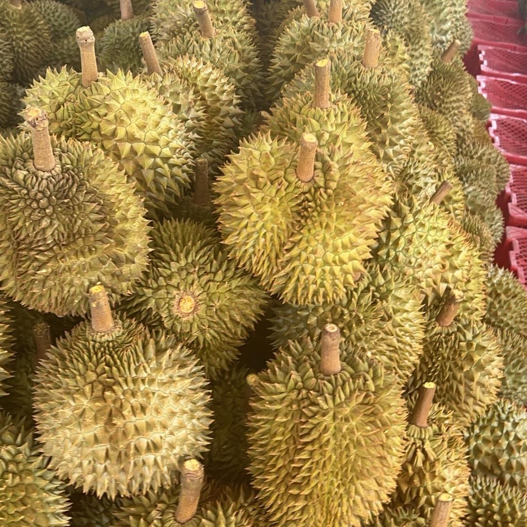 小FU少帅甄选