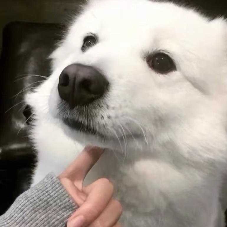 十一、