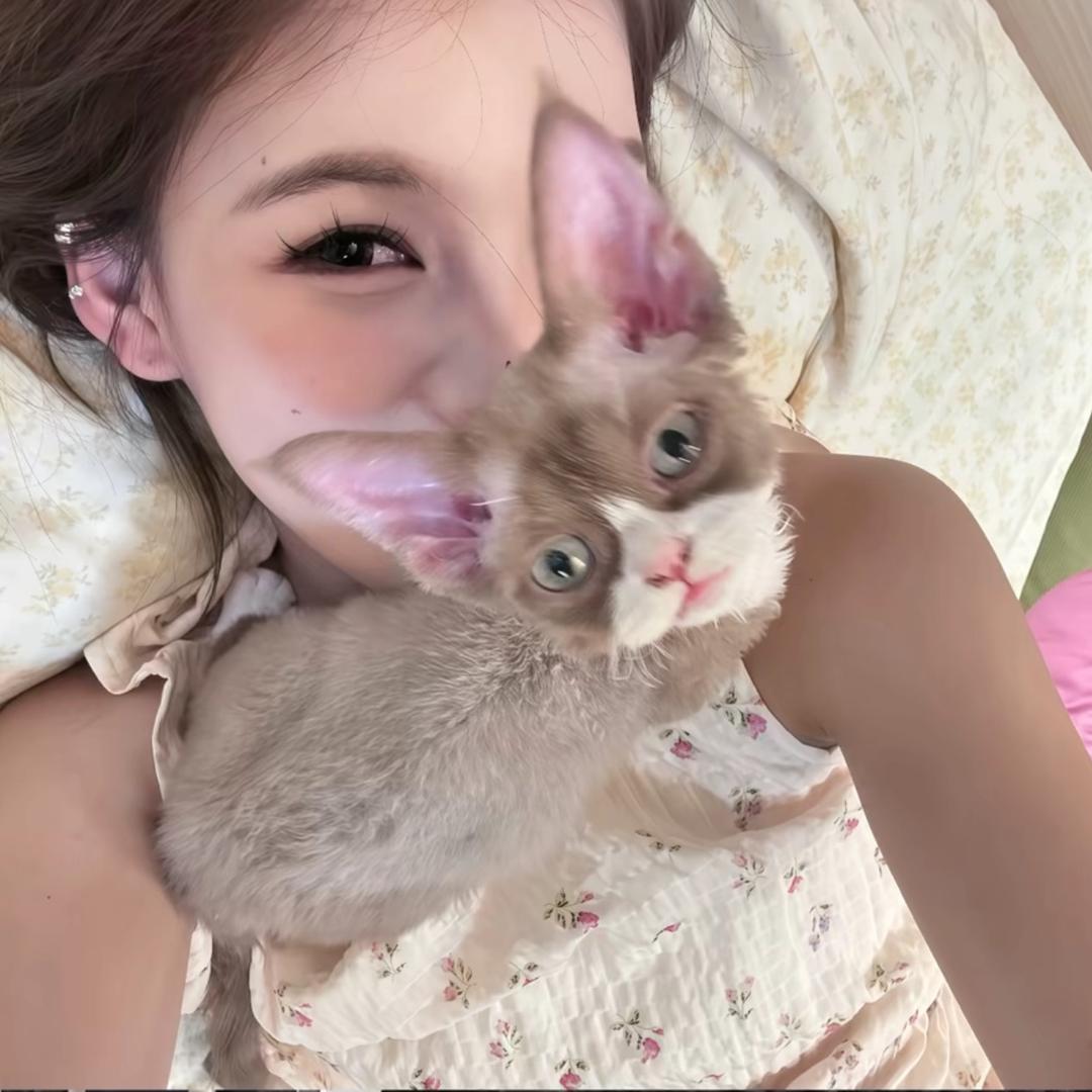 起床了羊🐑