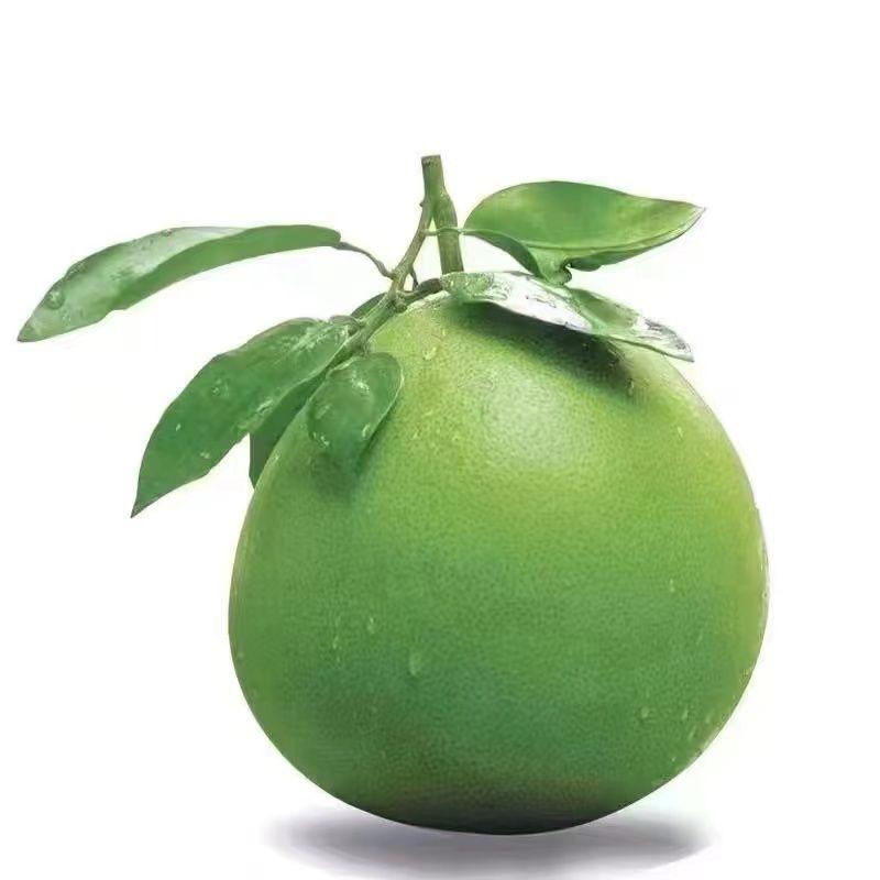 小曹…