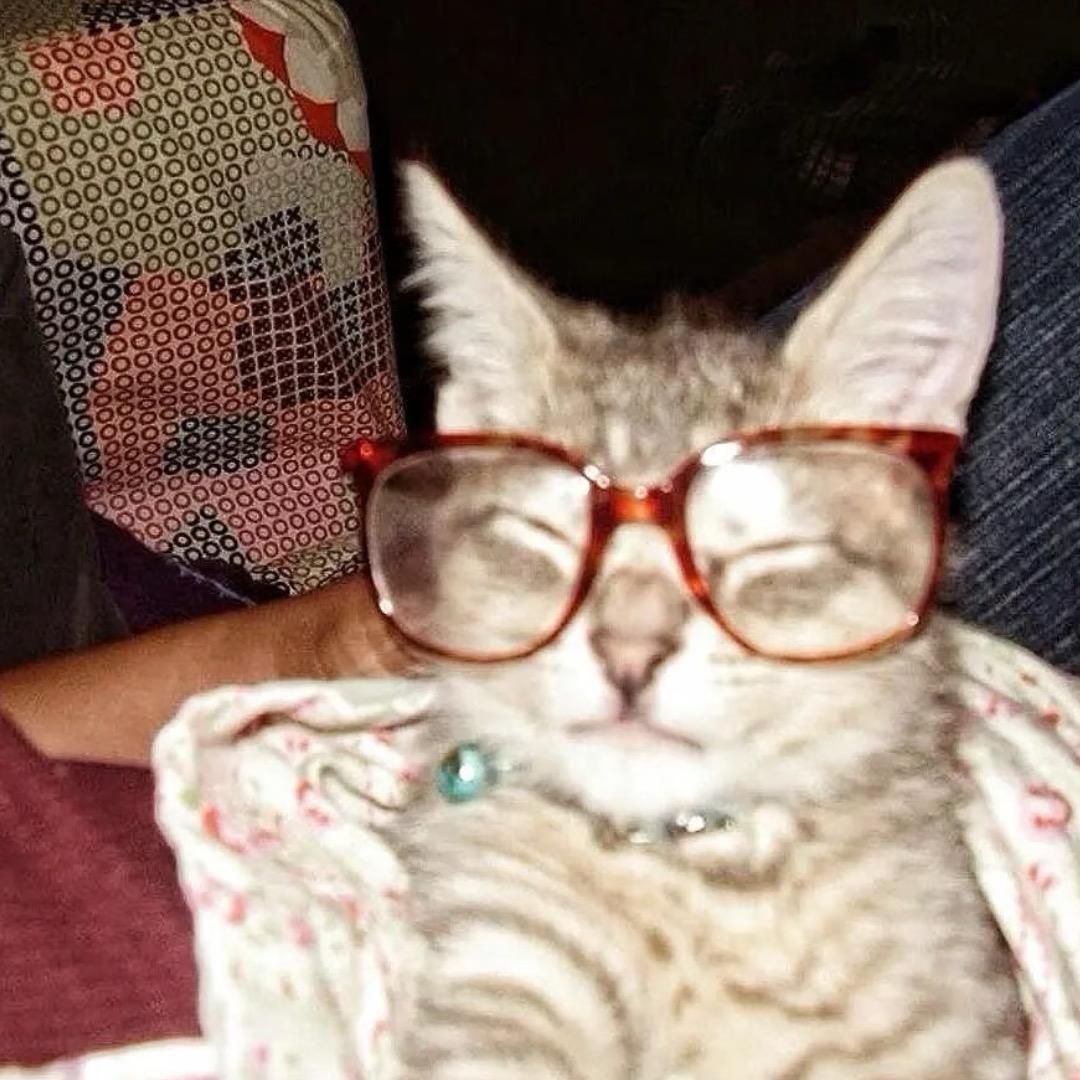 吃土豆长大的马铃薯🥔