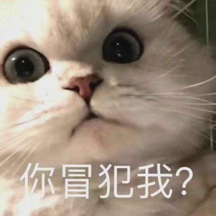 清风知我