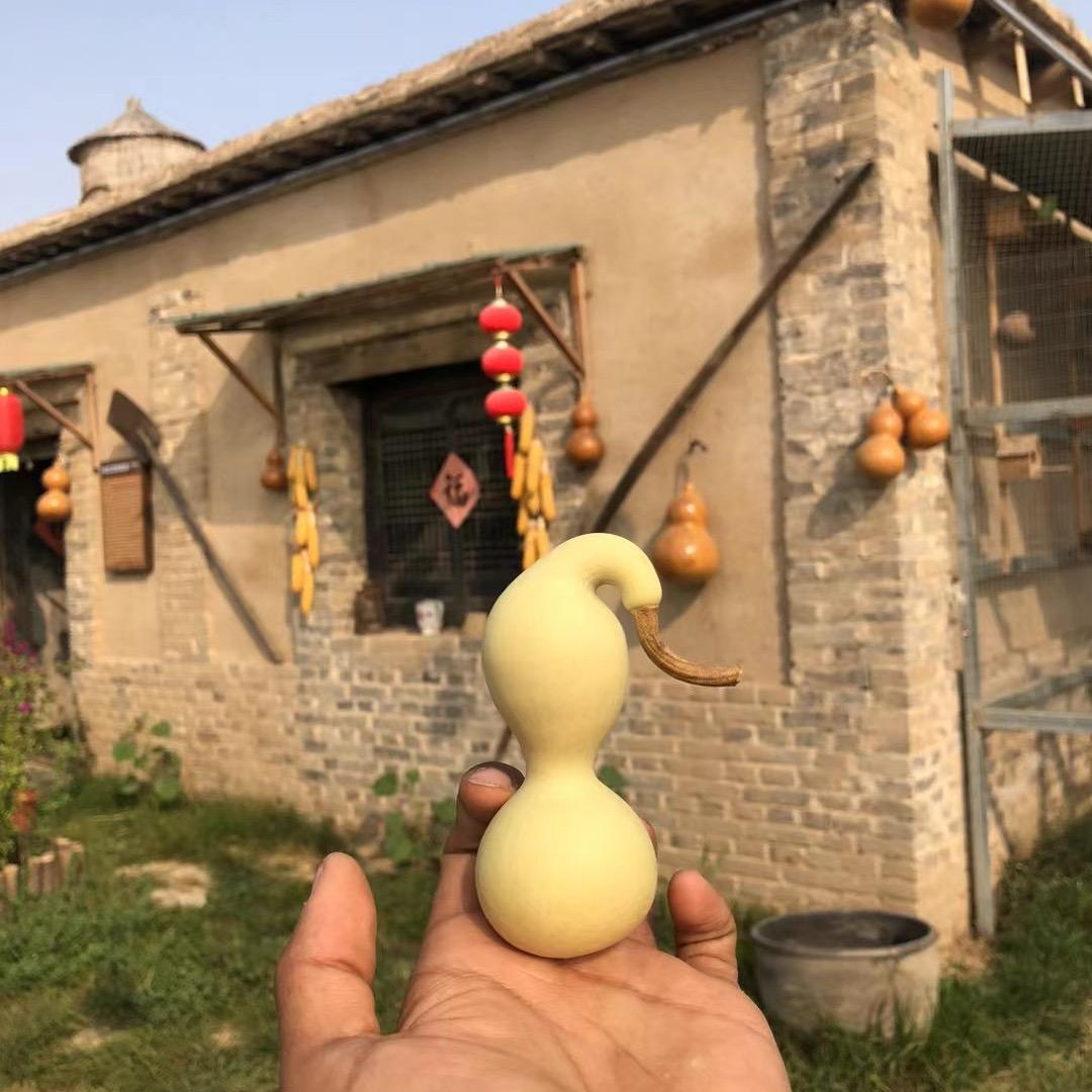 立子文玩葫芦