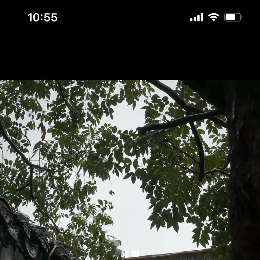 武当山太合文创