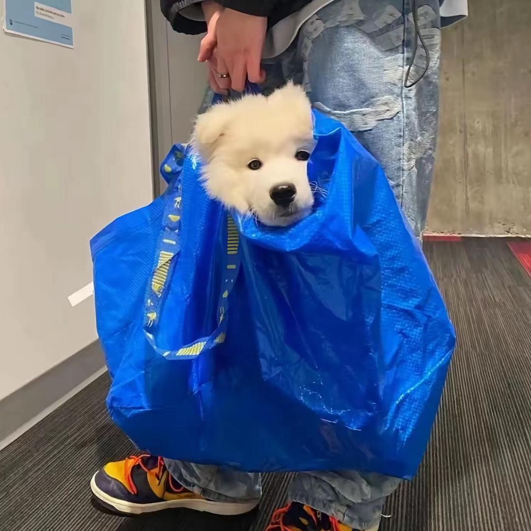 哦哦