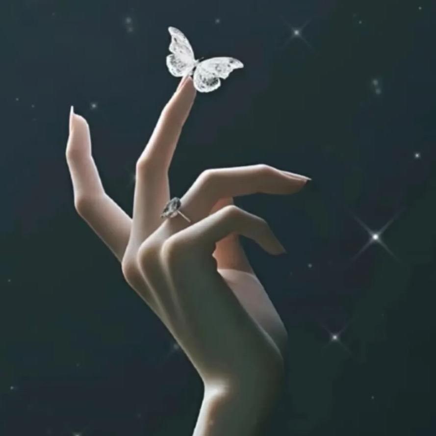 肖哈哈💫