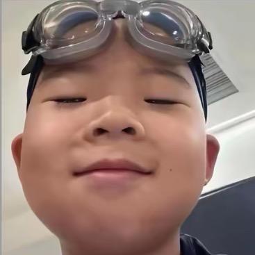 蓬蓬