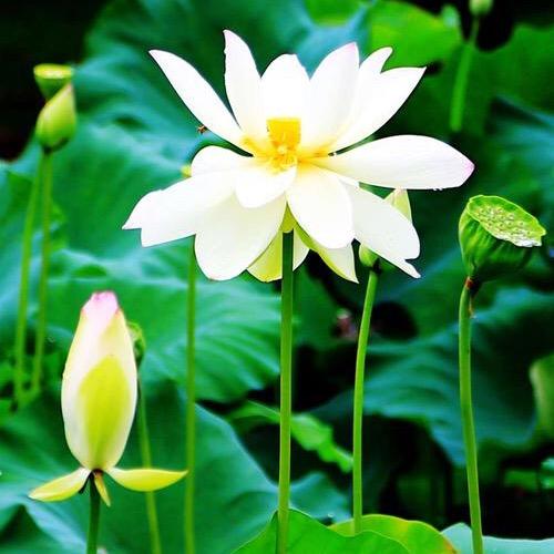 小师妹快乐玩收藏