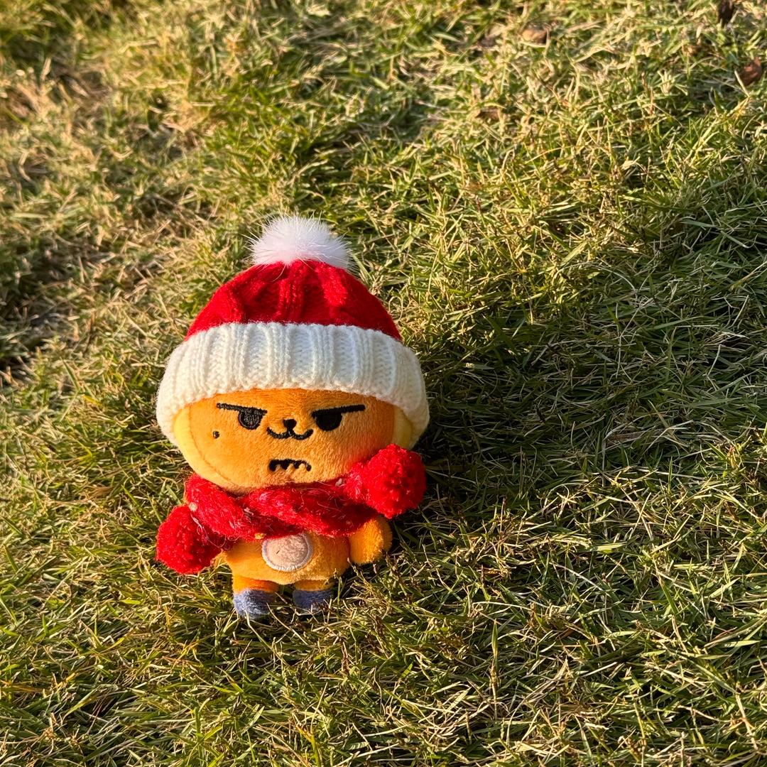 yyyy